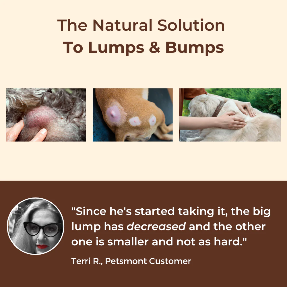 PETSMONT BUDDY GUARD: The Supplement For Dogs With Lumps & Bumps  (2 cans)