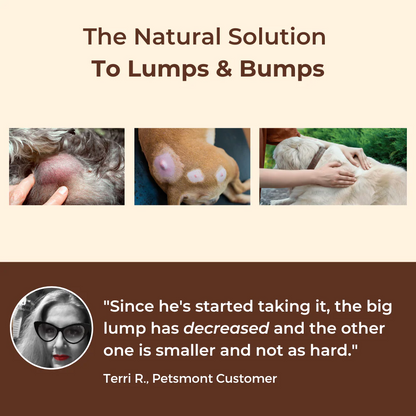 PETSMONT BUDDY GUARD: The Supplement For Dogs With Lumps & Bumps  (2 cans)